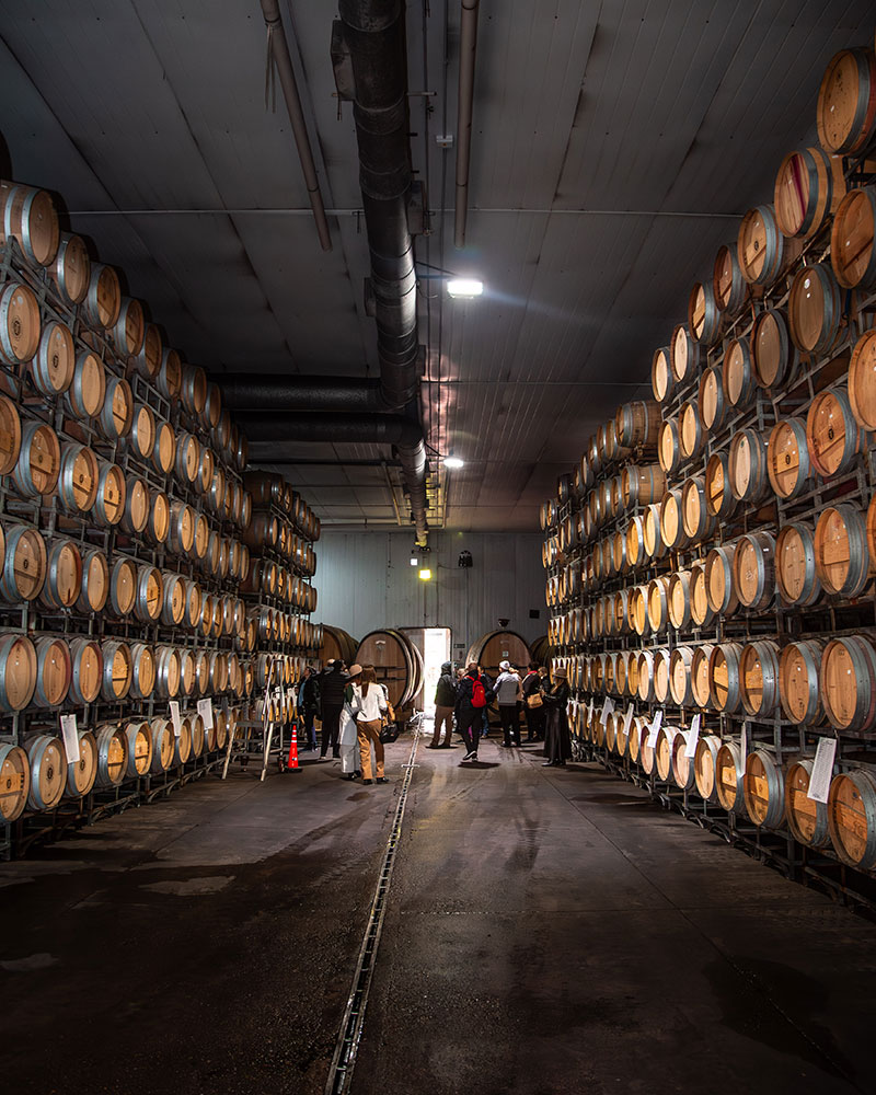 barrels in wineries, winery tours in Mendoza, winery tours in Mendoza